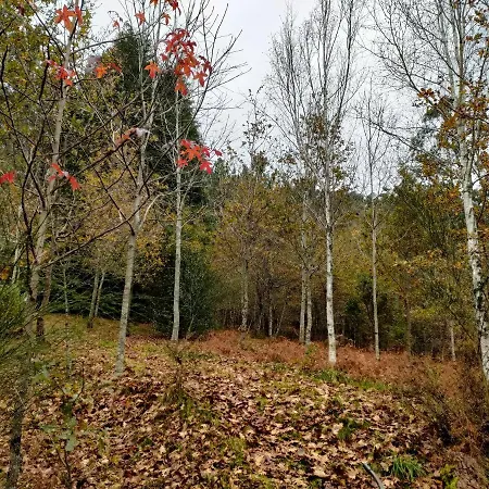 Quinta De Sao Simao Turismo E Eventos