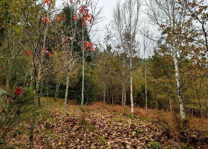 Quinta De Sao Simao Turismo E Eventos